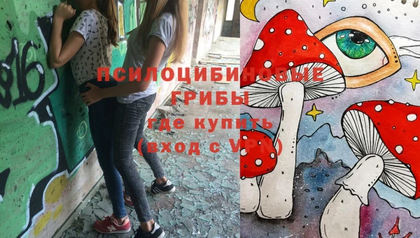 прущий лед Карпинск